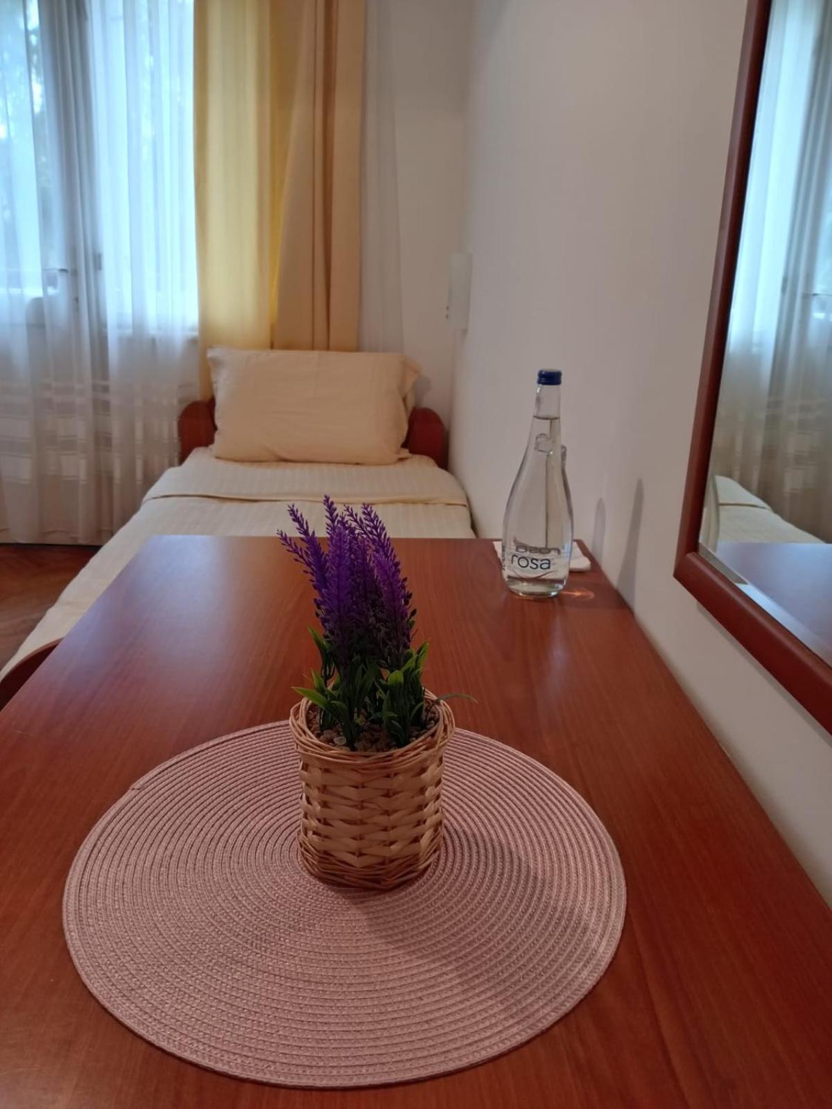 Hotel Vlasina - Vlasinsko Jezero Vlasina Rid Eksteriør billede