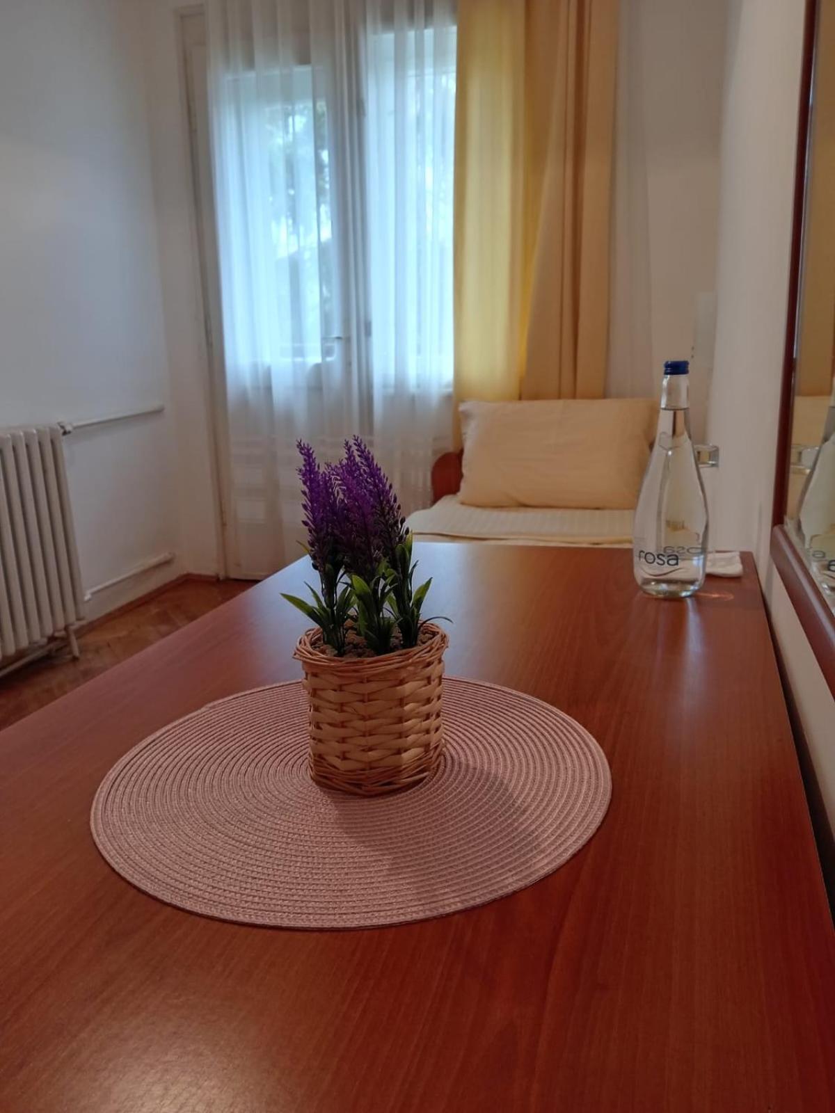 Hotel Vlasina - Vlasinsko Jezero Vlasina Rid Eksteriør billede