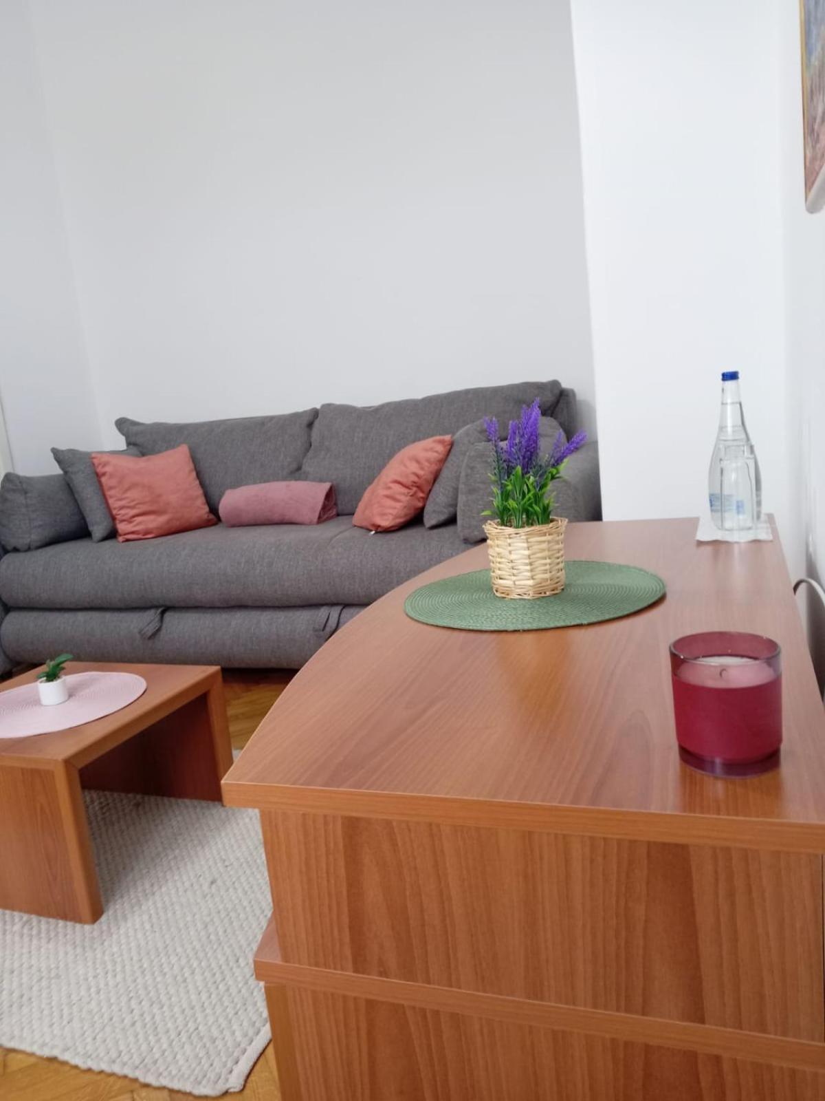 Hotel Vlasina - Vlasinsko Jezero Vlasina Rid Eksteriør billede