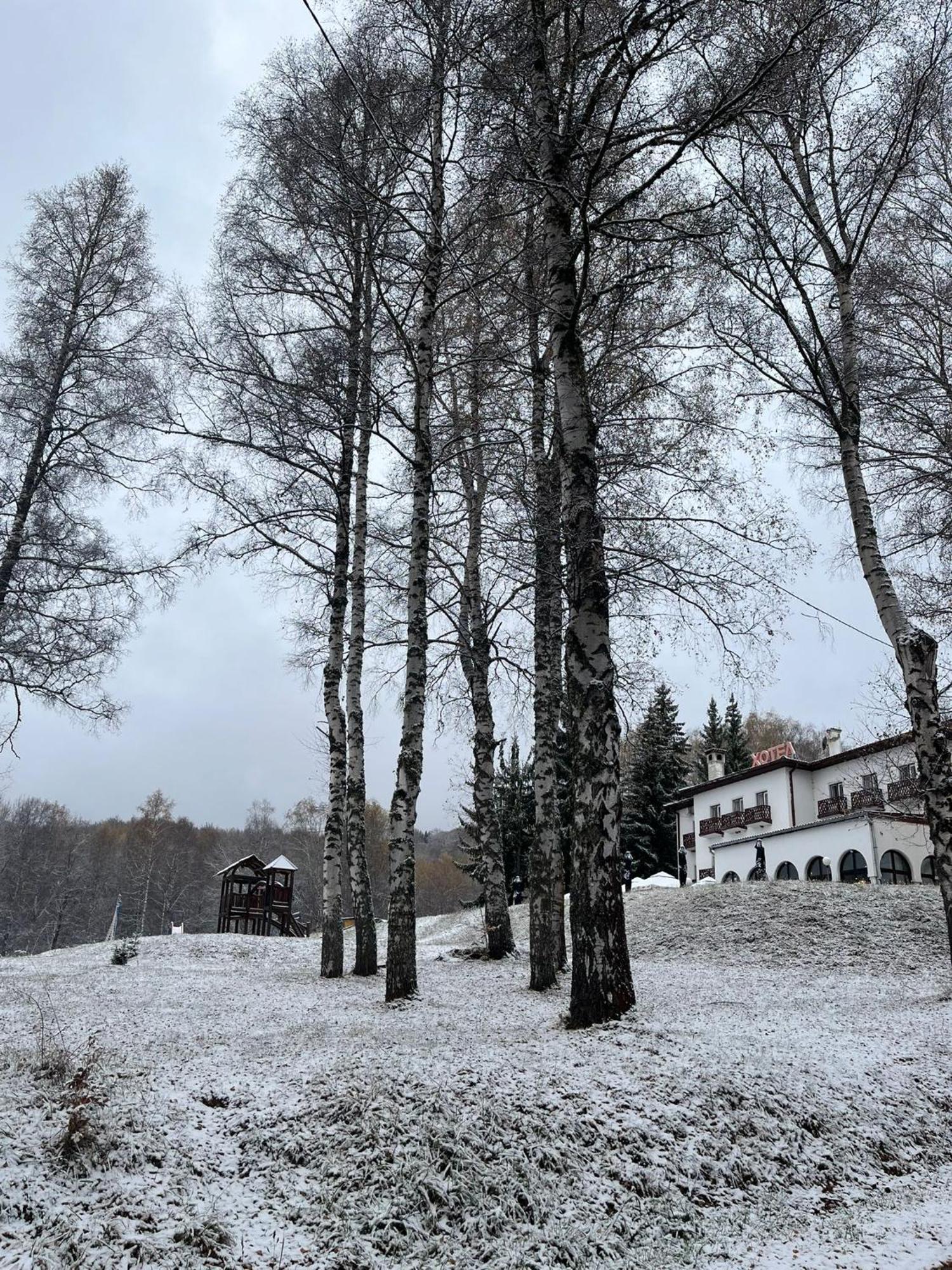 Hotel Vlasina - Vlasinsko Jezero Vlasina Rid Eksteriør billede